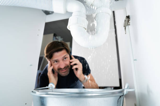 Best Plumbing Services Near Me  in Jamestown, TN